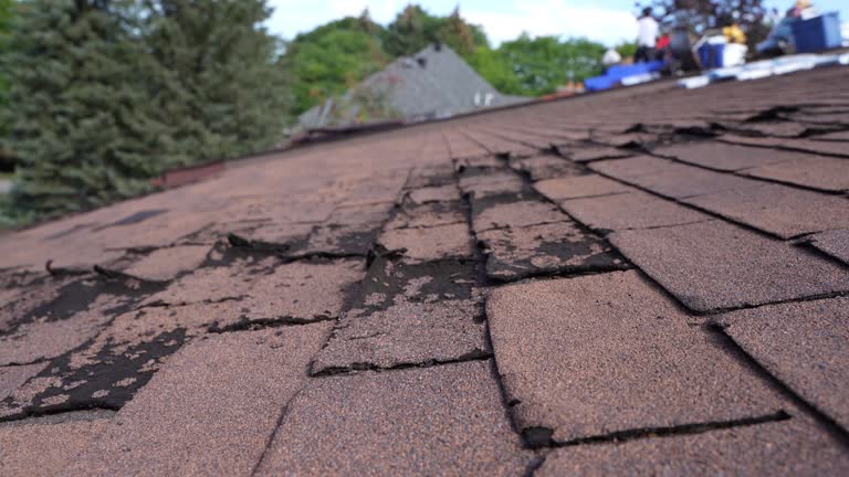 Best 4 Ply Roofing  in Smoke Rise, AL